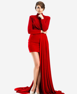 fashion designer template product img 3